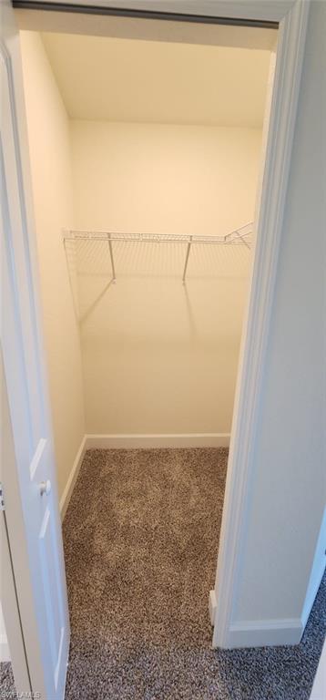 Walk in closet featuring carpet floors