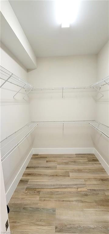 Spacious closet with light wood-style floors