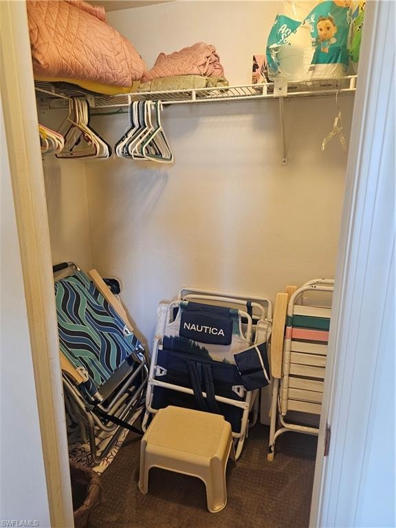 Walk in closet with dark colored carpet