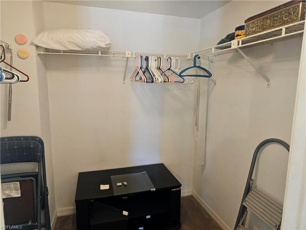 View of walk in closet