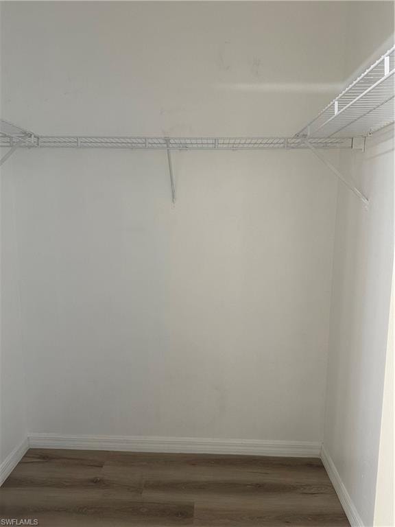 Walk in closet with wood-type flooring