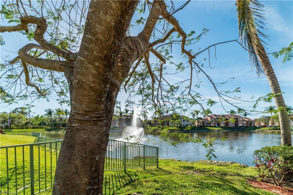 Water view