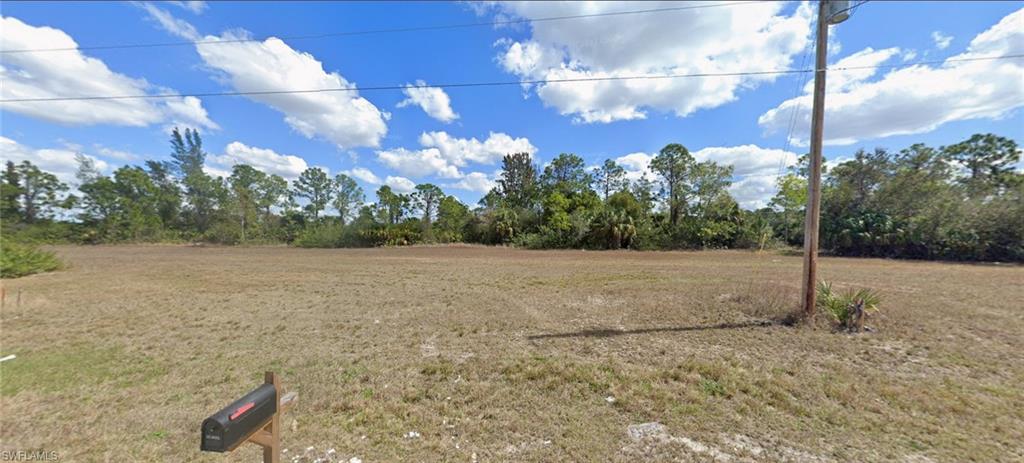 View of the cleared lot