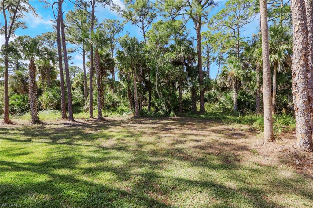 View of grassy yard