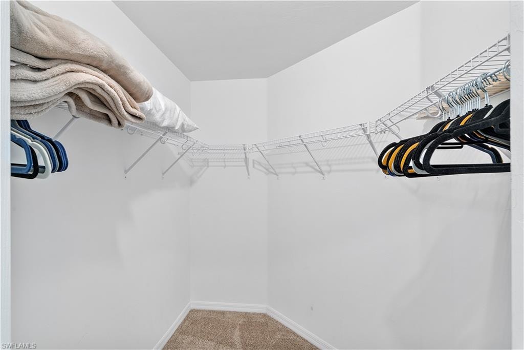 Walk in closet with light carpet