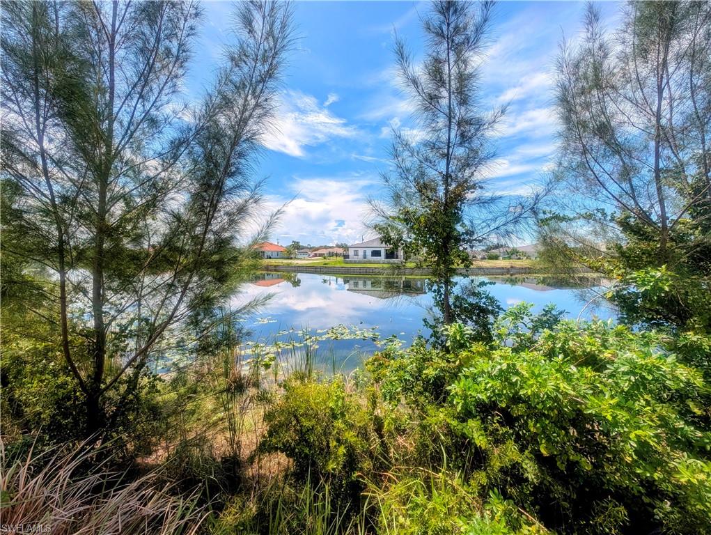 Freshwater canal view from the back of the property