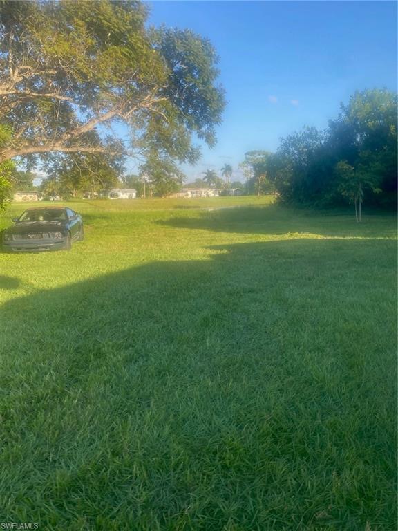 View of grassy yard
