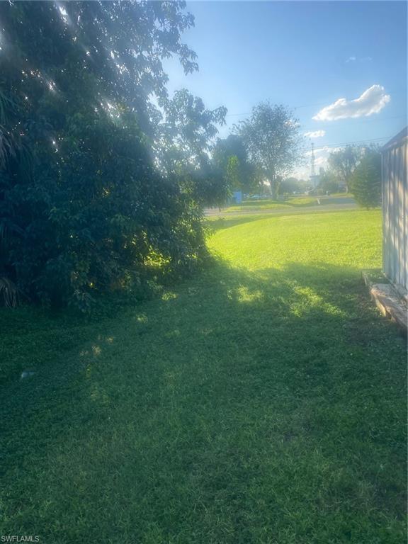 View of green lawn