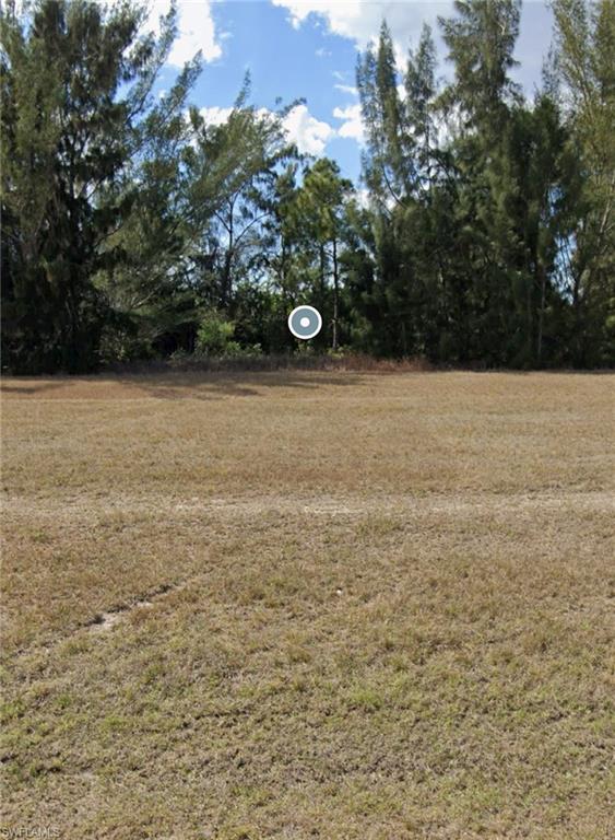 View of green lawn