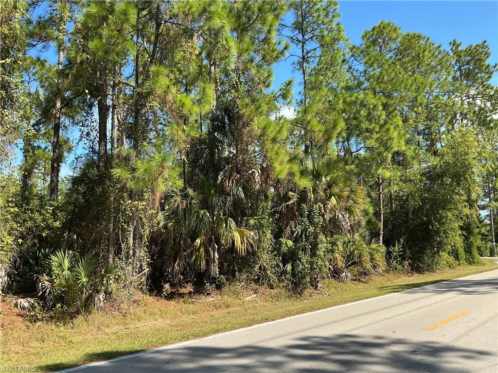 View of asphalt road featuring a forest view