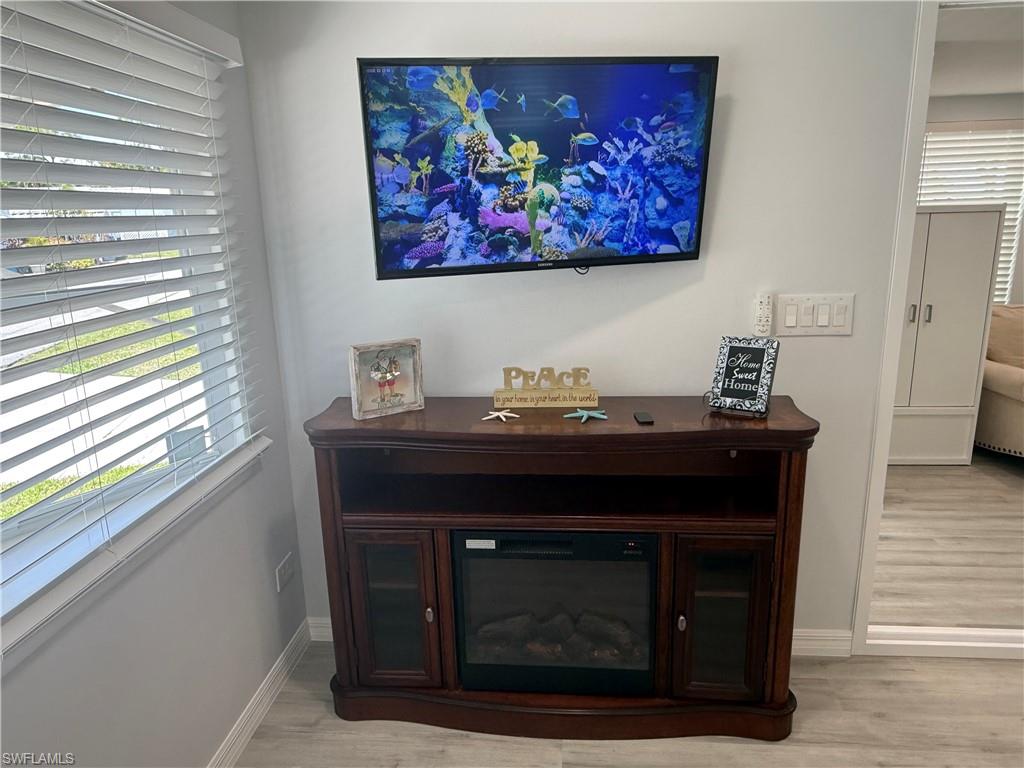 Living Room Fireplace and T.V.