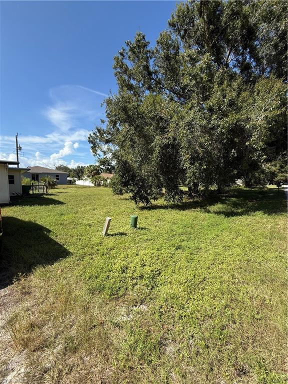 View of grassy yard