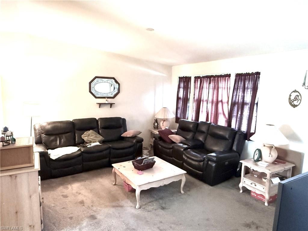 Living area featuring carpet floors