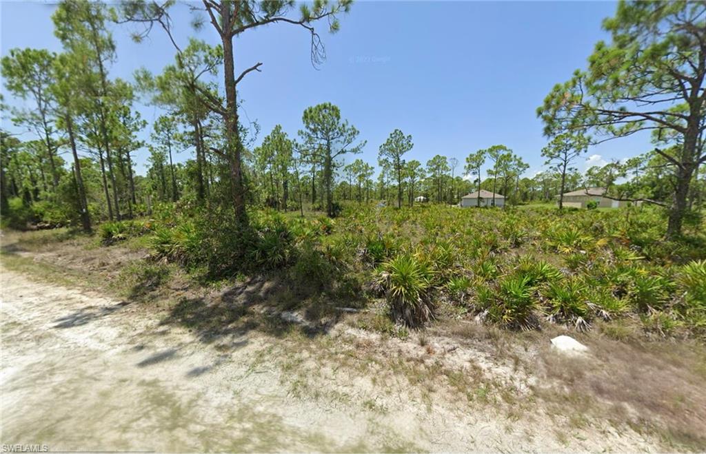 View of undeveloped land