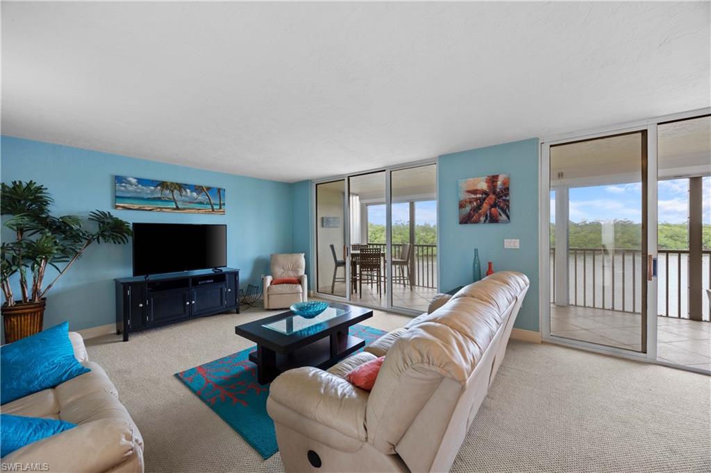 Carpeted living room featuring expansive windows and a wealth of natural light