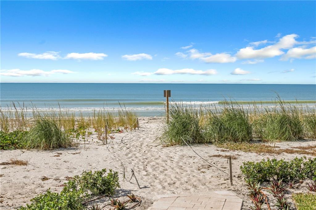 Beach View