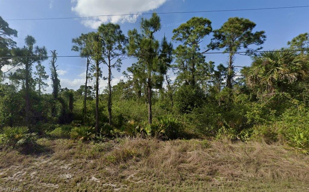 View of undeveloped land
