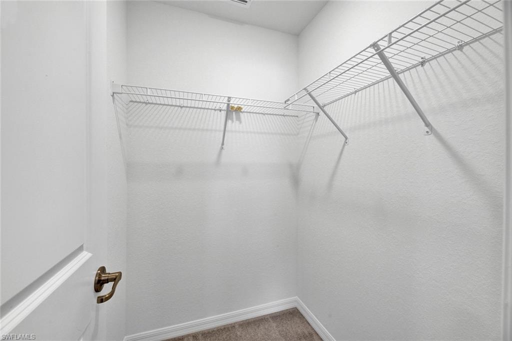 Spacious closet featuring carpet flooring