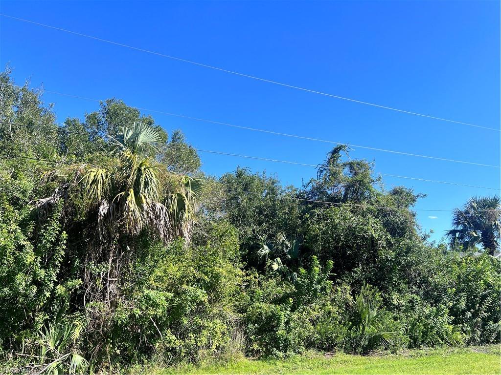 View of undeveloped land