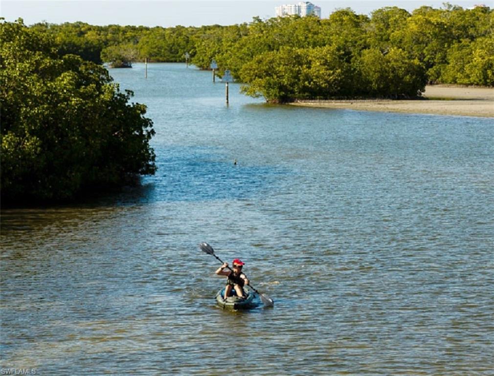 Kayak or Canoe through the Bay.