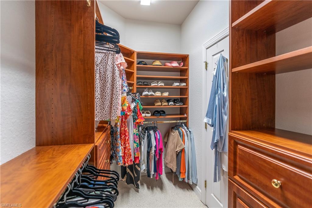 Spacious closet featuring light carpet