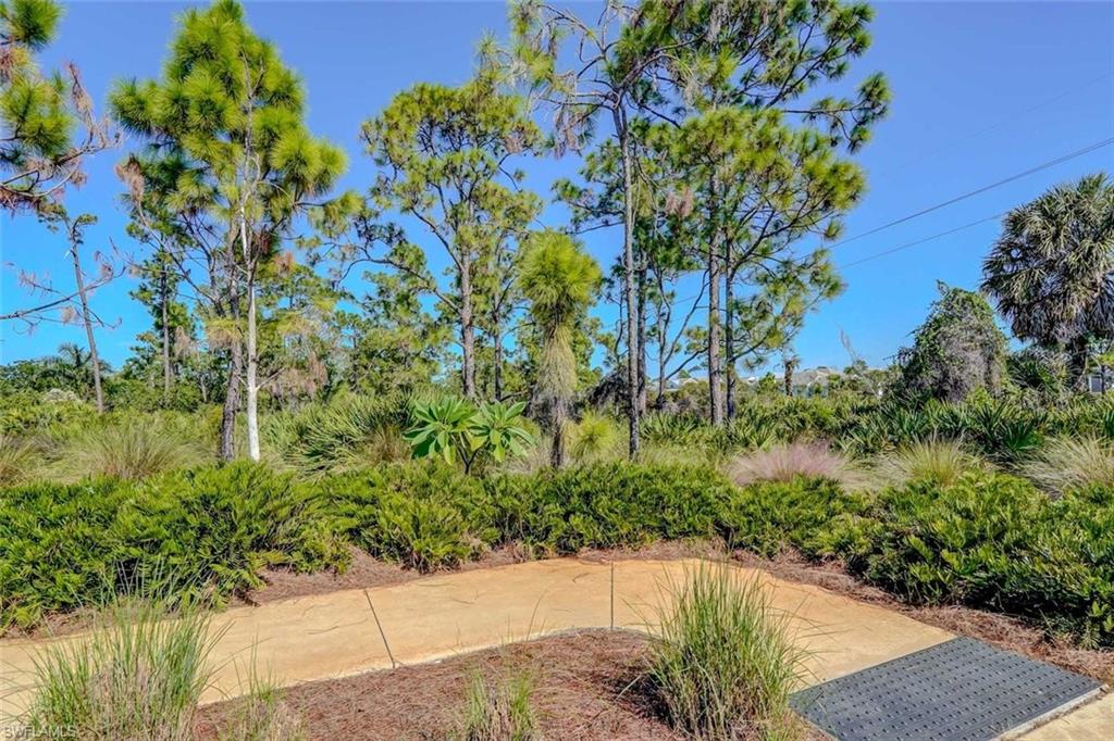 7202 Dominica DR photo 38