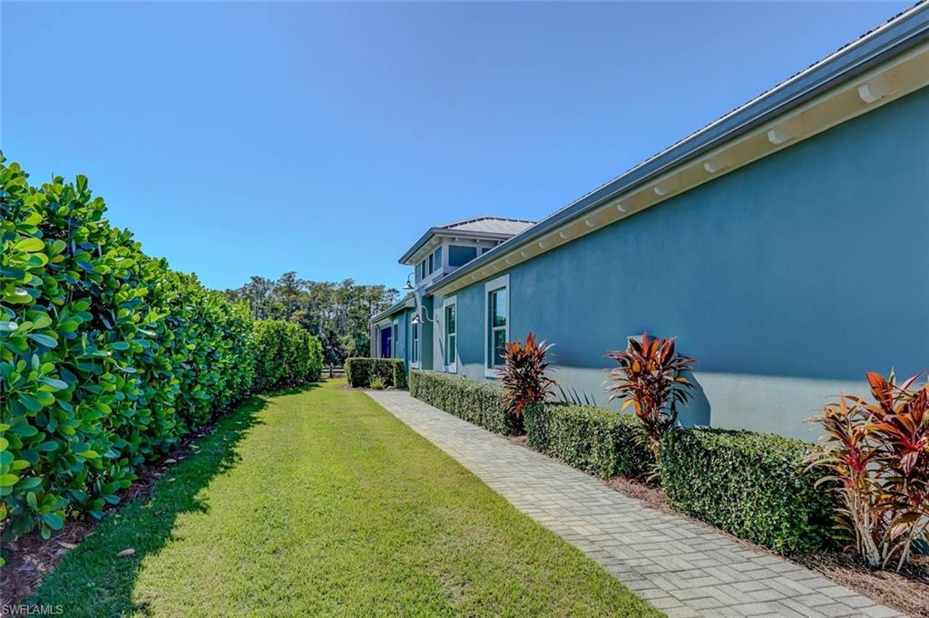 View of grassy yard