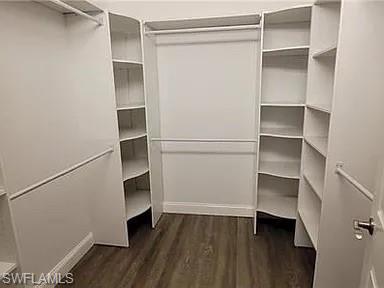 Walk in closet featuring dark wood-style floors