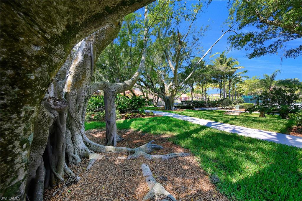 View of grassy yard