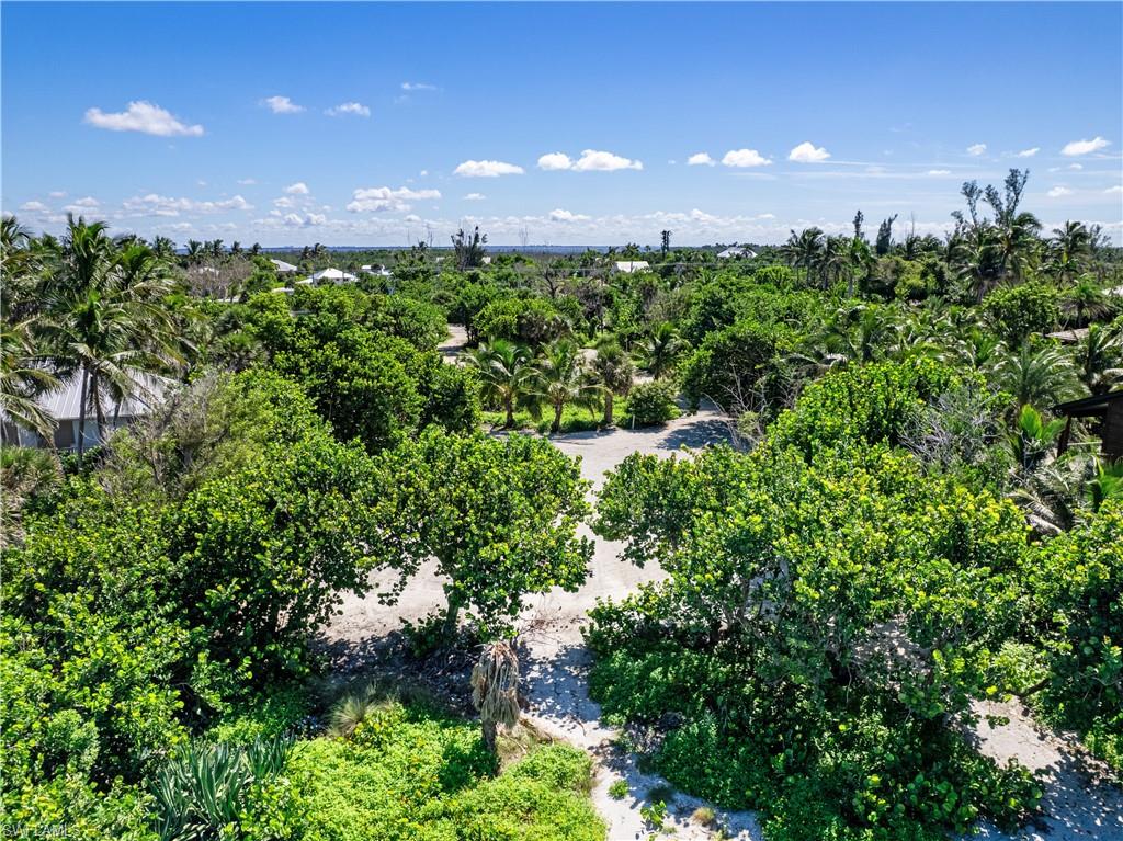 16548 Captiva DR photo 13