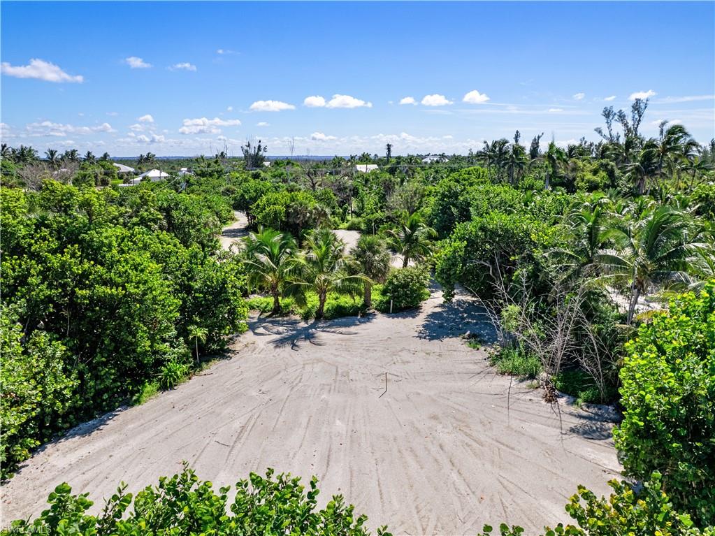 16548 Captiva DR photo 14
