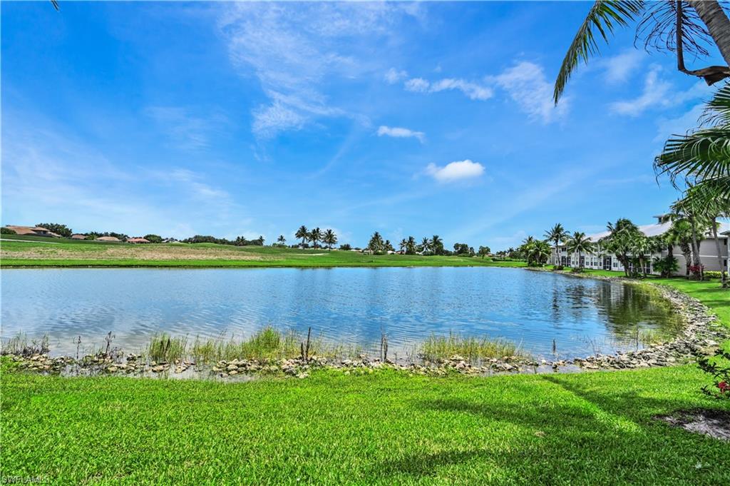 Water view
