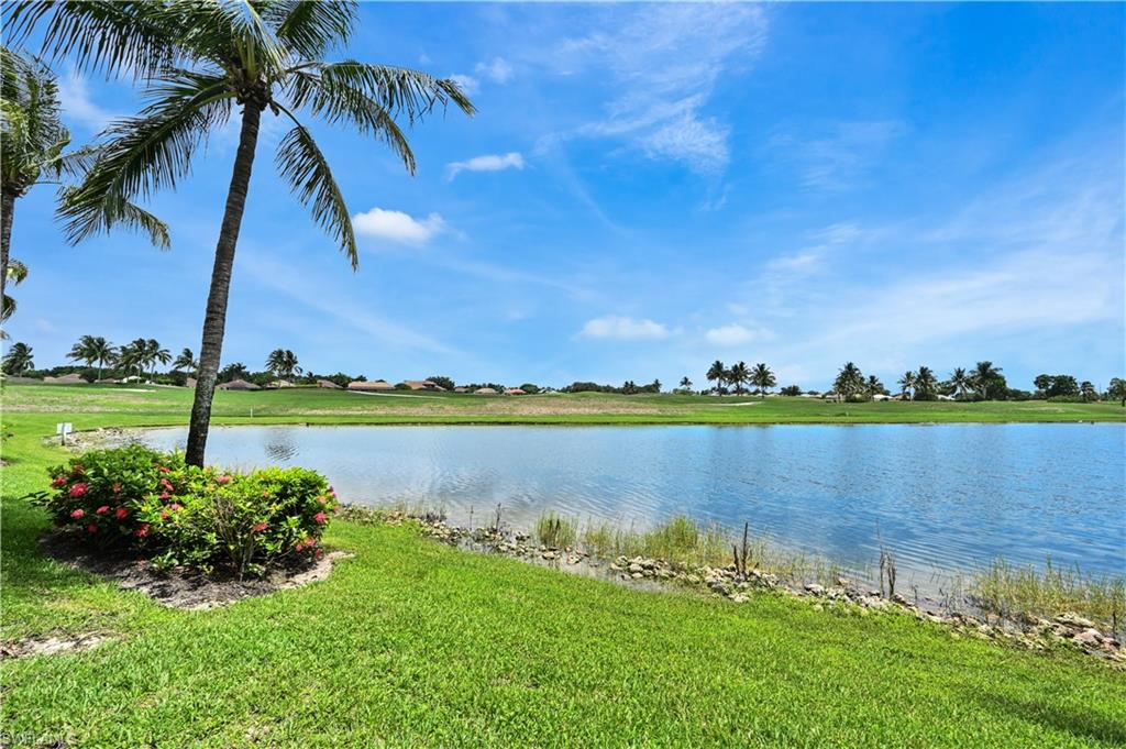 Water view