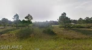 View of nature
