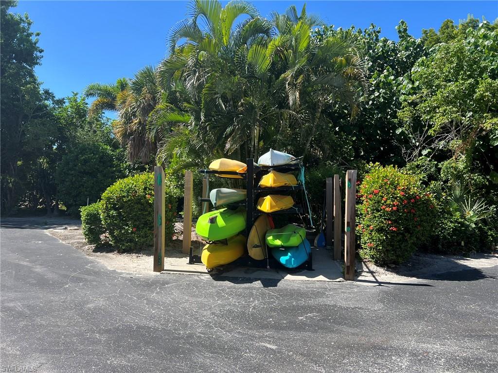 View of jungle gym