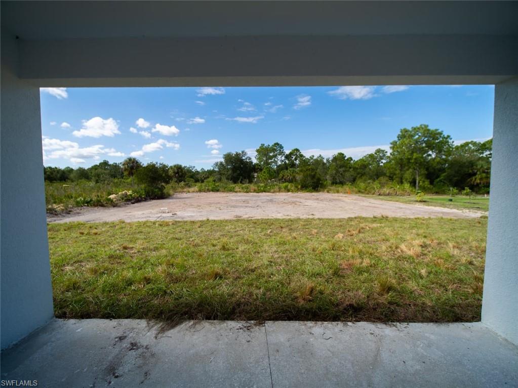 View of backyard