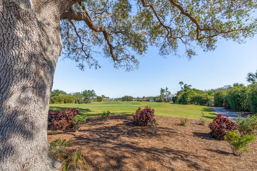 8251 Grand Palm DR 3 photo 31