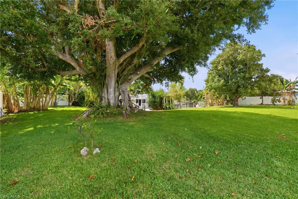5229 Pelican BLVD photo 41