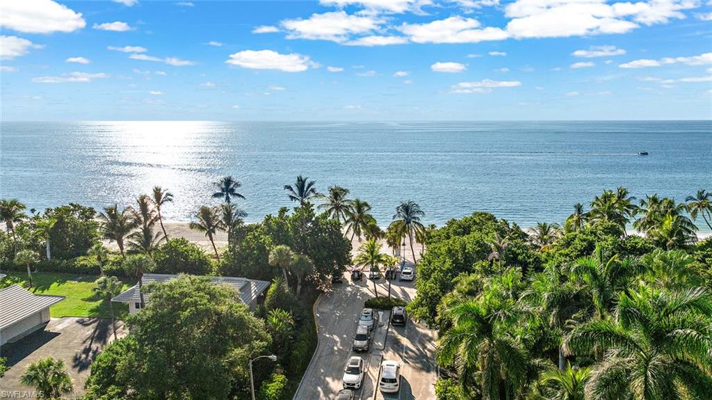 1441 Gulf Shore BLVD S photo 49