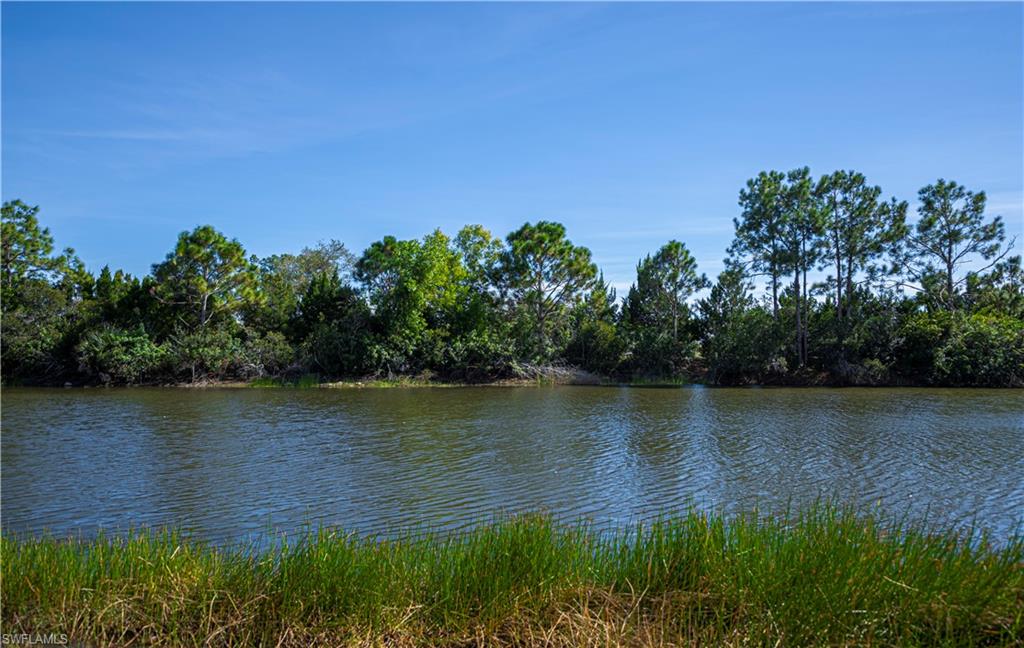 Water view
