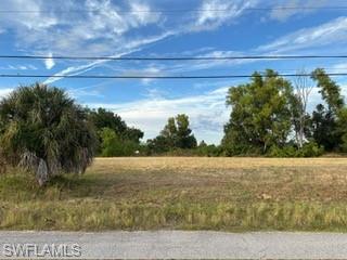 View of undeveloped land