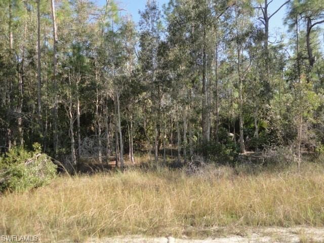 View of undeveloped land