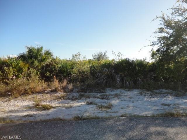 View of undeveloped land