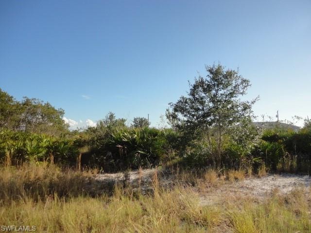 View of nature