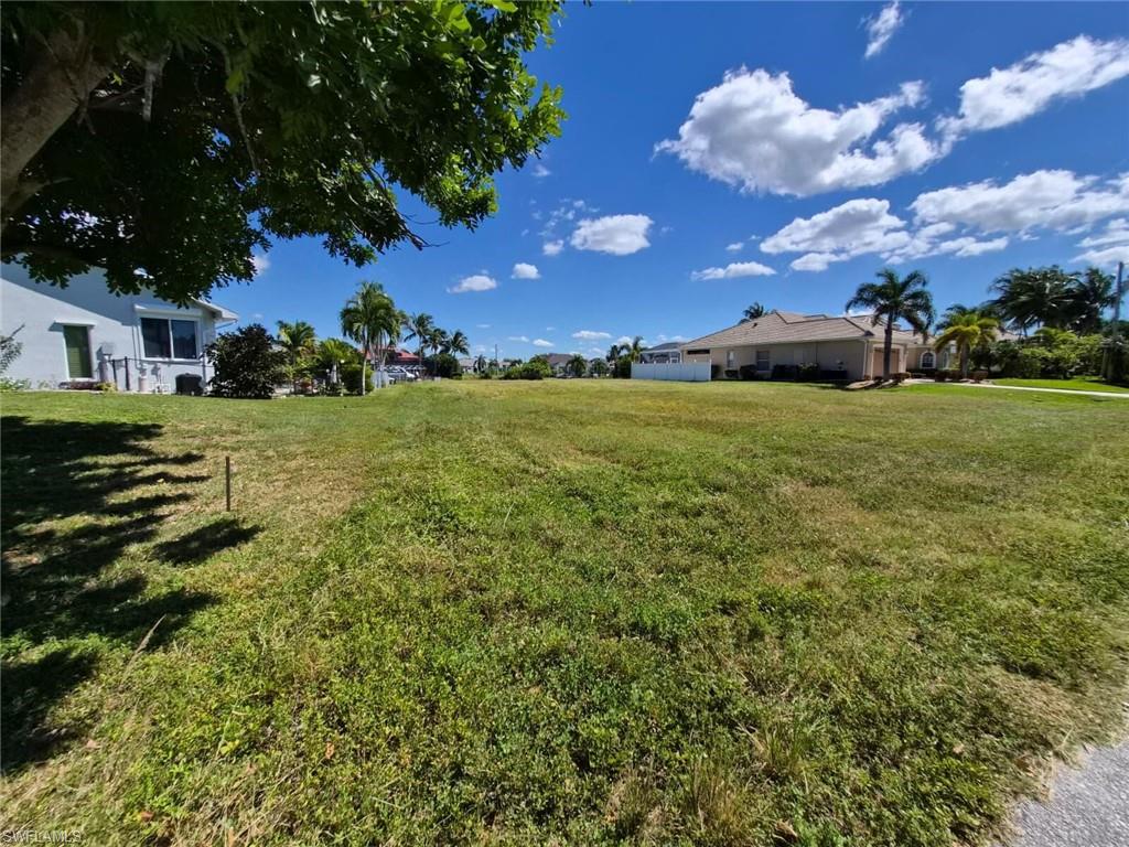 View of grassy yard