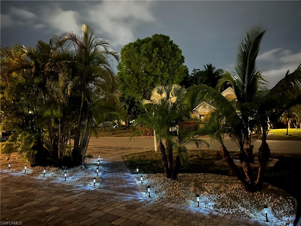 The path at night