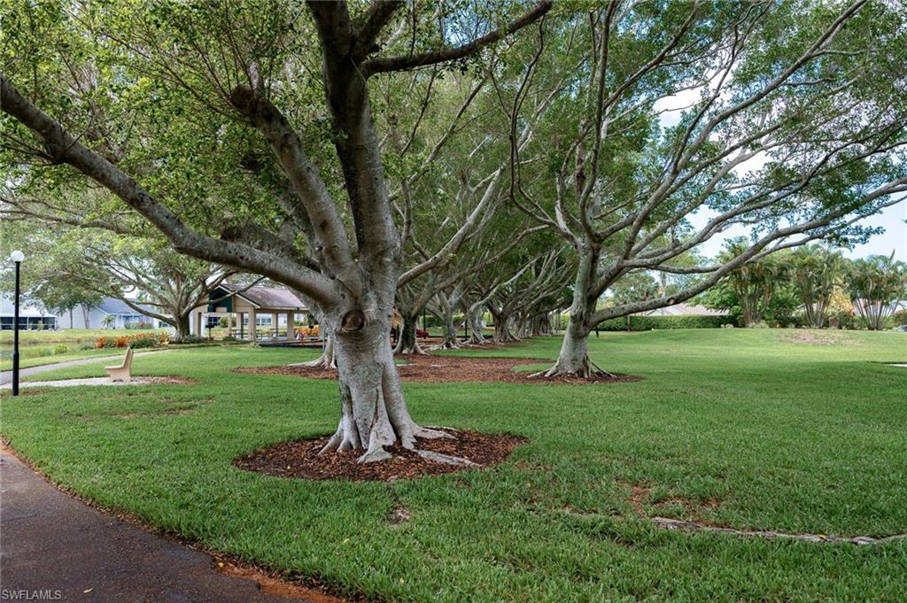 Community Park and kids Play Area