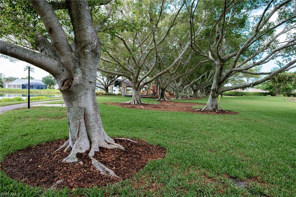 Community Park and kids Play Area