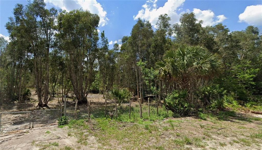 View of woods