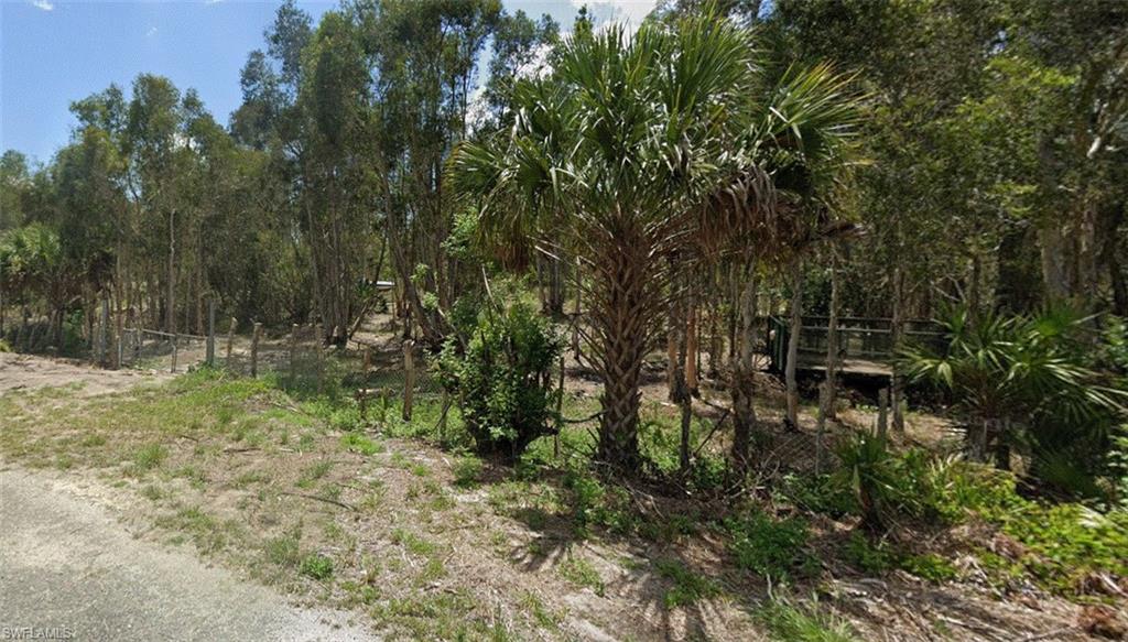 View of wooded area